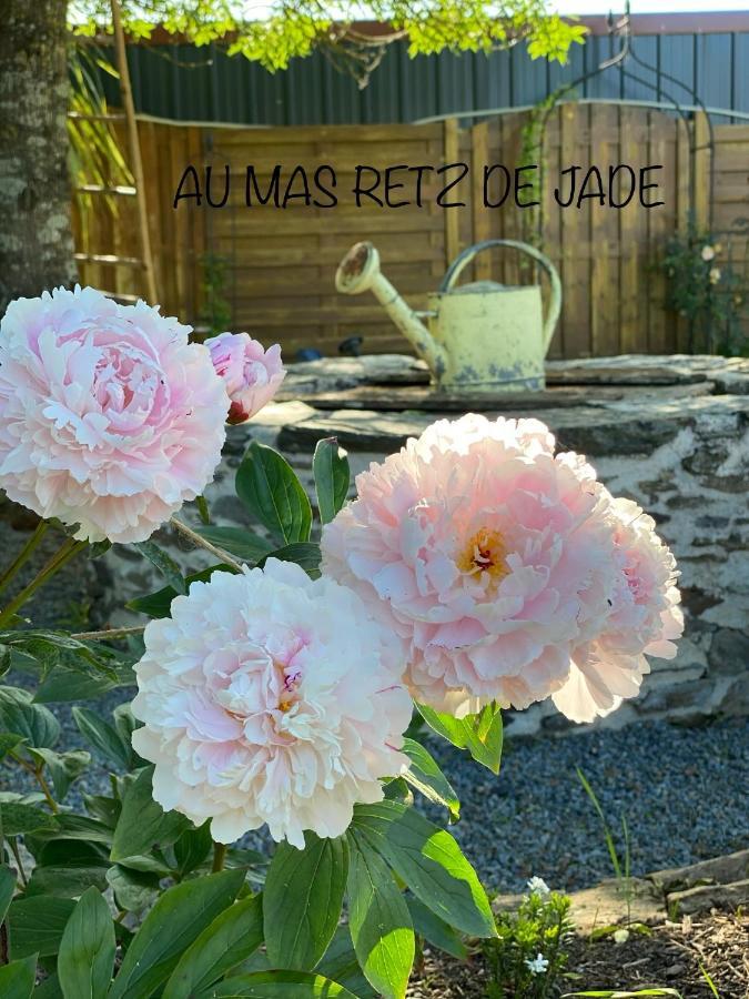Au Mas Retz De Jade Bed and Breakfast Chauvé Eksteriør billede